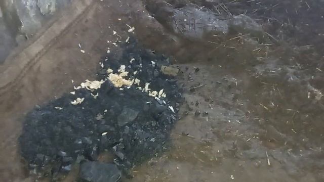 Моё маленькое свино водство!!! смотреть онлайн