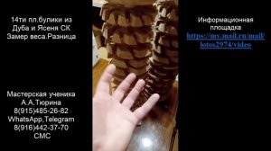 14ти пл.булики А.Тюрина из Дуба черешчатого и Ясеня скального. Веса. Разница.