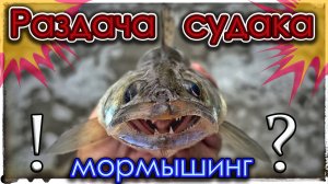 Раздача судака. Мормышинг. Микроджиг. Nano Zero Air