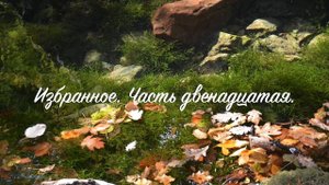 12 Избранное.