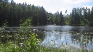 Ленинградское небо. Первый клип