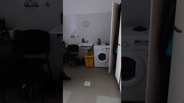 Приют для животных в Бельцах! смотреть онлайн