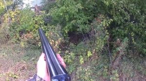 Охота на зайца, утку, гуся. Яркие моменты №4