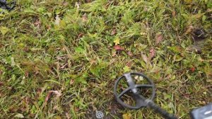 Крот и монета! Крота вам в помощь! В конце Тест F-19 F-39 MD-6450 DEUS XP.56