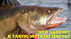 ЛЕГЕНДАРНЫЕ СУДАЧАТНИКИ, И ИХ СЕКРЕТЫ