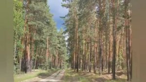 #сосновоборск #пензенская #максимкинродник #музыка #любовь.mp4