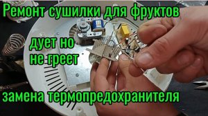 Ремонт сушилки Sakura SA-7801 не включается