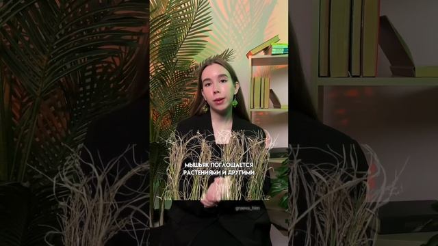 Мышьяк | #егэ #химия10класс #химия
