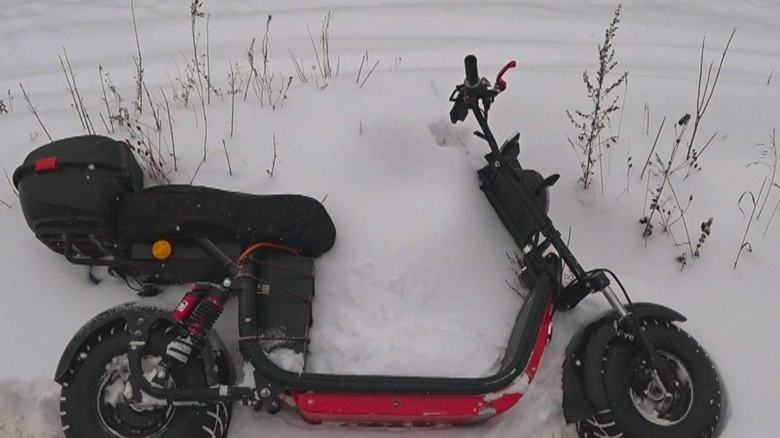 Let it Snow Citycoco 2WD смотреть онлайн