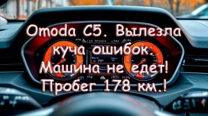 Omoda C5. Вылезла куча ошибок. Машина не едет. Пробег 178 км.