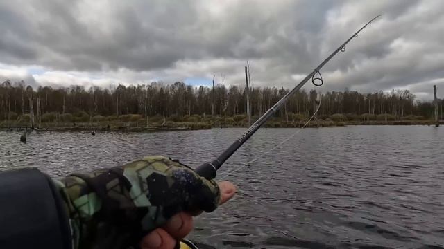 АЗАРТНАЯ рыбалка на ОЗЕРЕ! ЩУКА на ВОБЛЕРЫ осенью! Спиннинг в октябре! смотреть онлайн