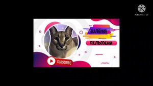 шлёпа поёт