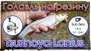 Голавль на резину. Мормышинг. Tsurinoya Lanius 800.