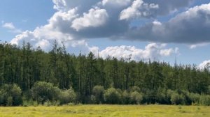 Как я провела last summer? Лето в Якутской деревне Чыаппара