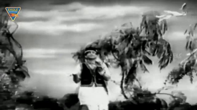 Paapi Hindi Movie || Mera Samajalana Video Song || Nargis, Raj Kapoor, Dulari смотреть онлайн