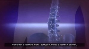 Лекция профессора Корзун Виталия  Наумовича о пользе ламинарии