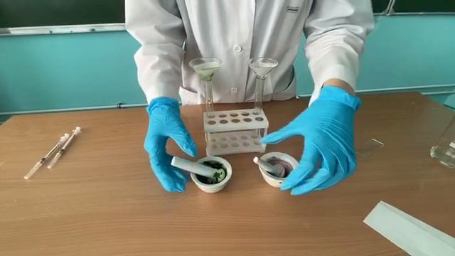 А есть ли хлорофилл в красных листьях растений?