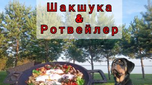 Семейный отдых на природе