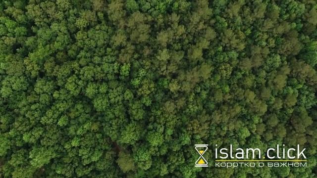 Эта хутба впервые на ютуб | Причина установления поста в день Ашура | Шейх Абу Яхья смотреть онлайн