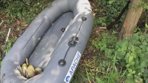 Впервые за восемь лет, выполнили суточную норму добычи утки.