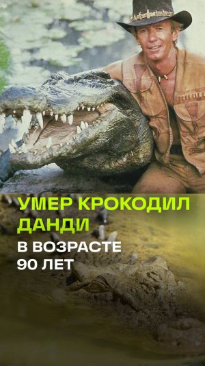 Умер Данди крокодил, 5-метровая рептилия Берт дожила до 90 лет