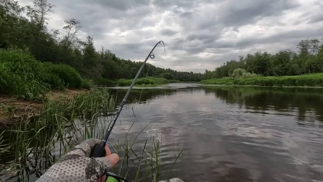 ЛУЧШАЯ РЫБАЛКА НА ГОЛАВЛЯ! РАЗДАЧА НА РЕКЕ ПРОДОЛЖАЕТСЯ! Рыбалка МЕЧТА! Малые реки Часть 2! смотреть онлайн