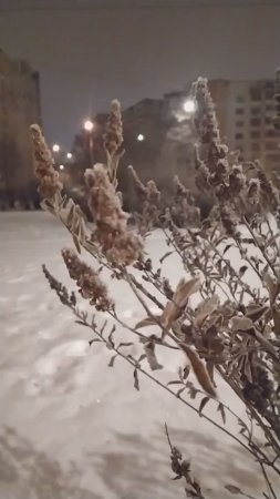 22.12.24 Москва, Южное Бутово