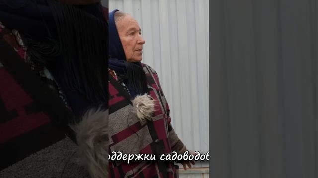 Осенняя обрезка деревьев_ советы садоводов смотреть онлайн