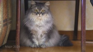 Что я снимал в 2024 году | видео под музыку