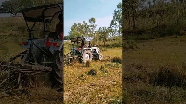 M. T. R смотреть онлайн