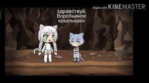 Коты-воители | Третий цикл |~в двух словах •Gacha Life•