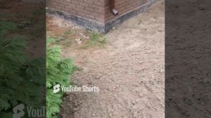 Готовим основание под водоотведение и брусчатку