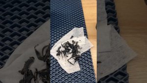 Nissan X-trail T32 установка светодиодных линз MTF Night Assistant MaxBeam