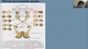 Нарушение обоняния и зрения, поражение обонятельного и зрительного нервов