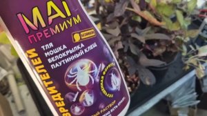 Ну откуда они только берутся? И Смертный бой, покой нам только снится