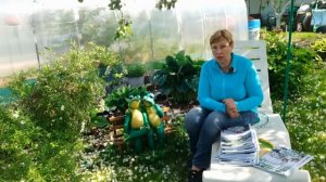 Сюрпризы для моих подписчиков ПРОДОЛЖАЮТСЯ! Печатное издание и новые планы