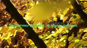 03. Исихия. иером. Симон (Безкровный)