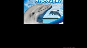 Discovery Kids - Dolphin Discovery (NDS) Gameplay