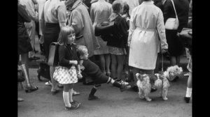 Бешенство. Рассказ М  Зощенко