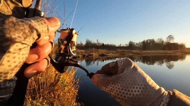 МИКРО-ДЖИГ ОСЕНЬЮ! Ловля ОКУНЯ И ЩУКИ с берега на МИКРО комплект! Загибает как надо!!! смотреть онлайн