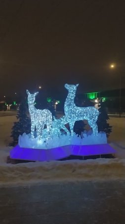 22.12.24 Москва, Южное Бутово