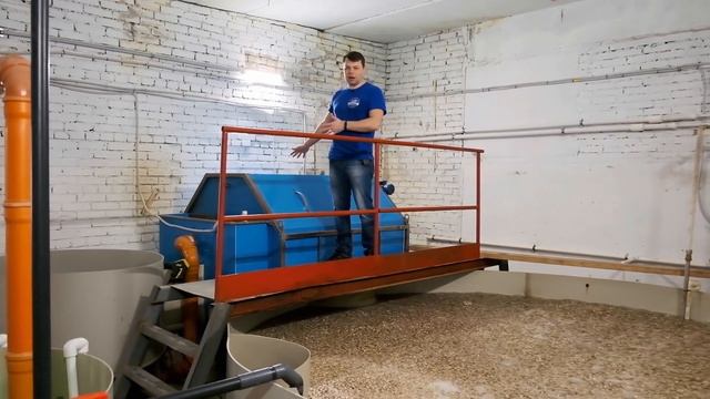 Обзор Узв фермы по выращиванию Тиляпии