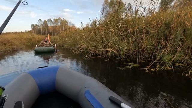 Сплав по Малой реке в поиске ЩУКИ! Рыбалка на СПИННИНГ ОСЕНЬЮ! Ловля ЩУКИ НА ВОБЛЕРЫ! смотреть онлайн