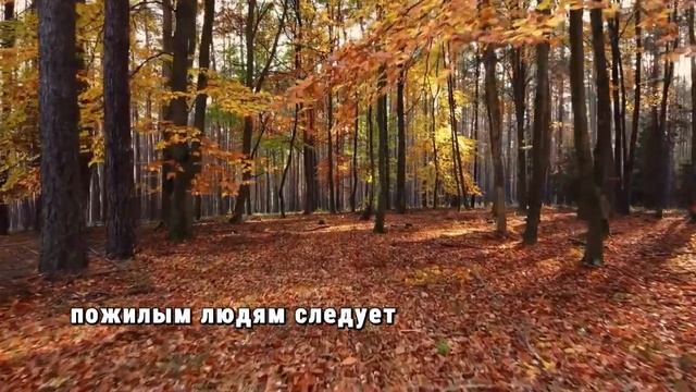 ШОК ПРАВДЫ Почему БОЛЬШИНСТВО ПОЖИЛЫХ Людей НЕ ДОЖИВАЮТ ДО 75 И ПРИВЫЧКА, КОТОРАЯ МОЖЕТ ИХ СПАСТИ! смотреть онлайн