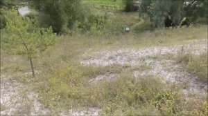 Мой фильм  Проведали мою Родину, пора и домой     часть  3