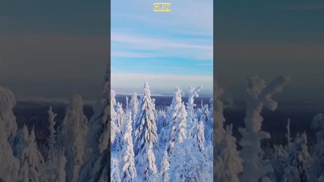 ⚪GRIN - Пэгытти...❄️