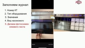 Программное приложение для пест-контроля