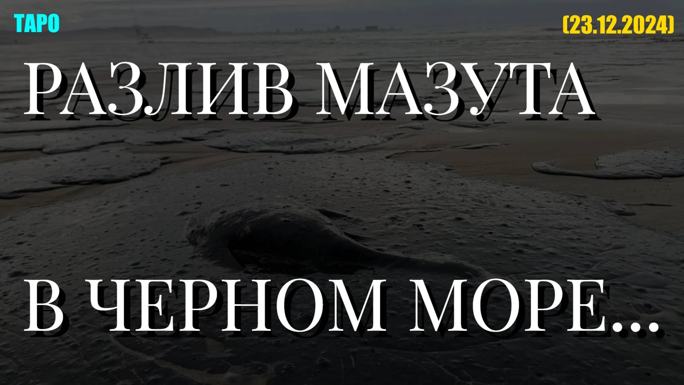 РАЗЛИВ МАЗУТА В ЧЕРНОМ МОРЕ... (ТАРО. 23.12.2024)
