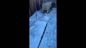 Кролики первый опыт разведения