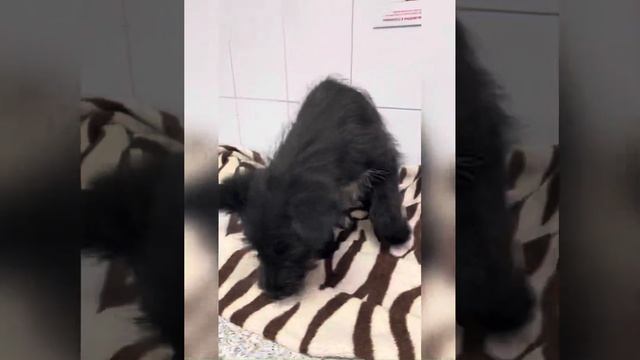 6 июня 2022 г. смотреть онлайн